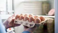 Kan man förvara ägg på kylskåpsdörren: vanliga misstag vid förvaring av ägg