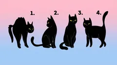 Psykologiskt test: Välj en katt och ta reda på hur andra ser dig