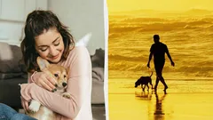 Inte bara hundar är människans bästa vän: vem mer förstår människor utan ord?