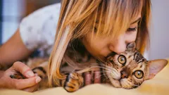 Din katt älskar dig, men är tyst: 10 gester du kanske inte har lagt märke till