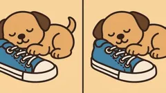 Hjärngympa: Hittar du 3 skillnader i bilden med en valp på 51 sekunder?