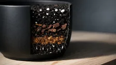 Så blandar du egen krukjord som får krukväxter att må bättre