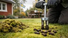 Så blir du av med mossa i gräsmattan i höst – en enkel plan som håller