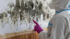 Det här hemmagjorda medlet tar död på mögel på en timme – perfekt för badrum och väggar